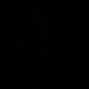 Meet your Posher, Mayela